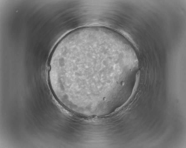 X0000072521476200608111707