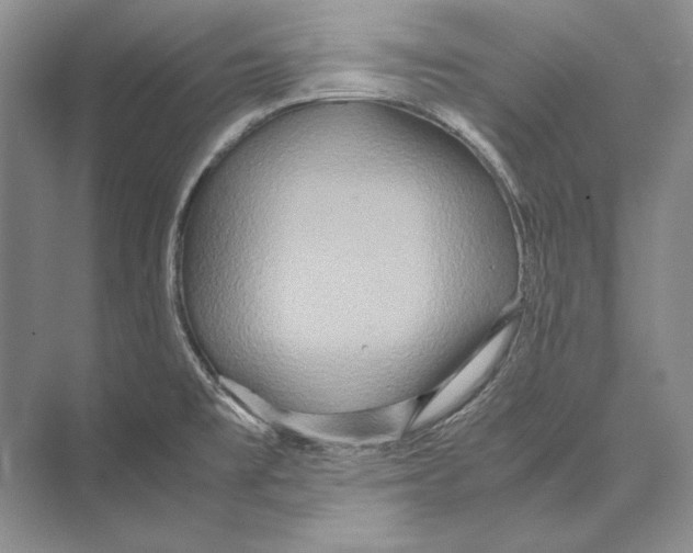 X0000072521477200608111707