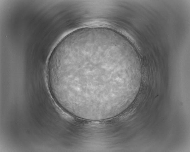 X0000072521478200608111707