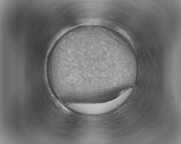 X0000072521480200608111707