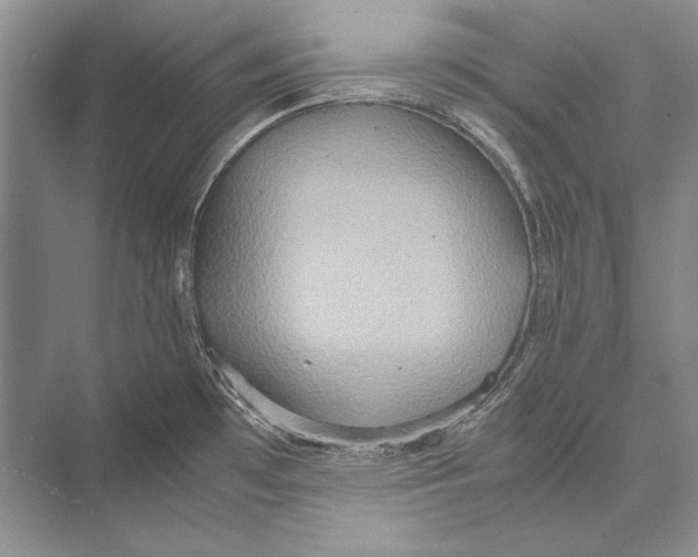 X0000072521481200608111707