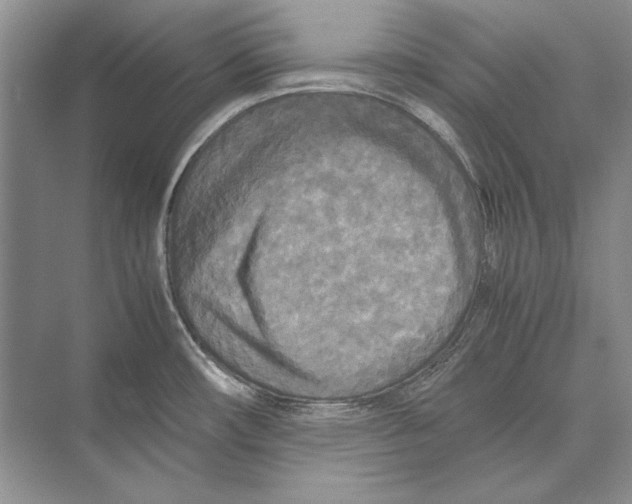 X0000072521482200608111707