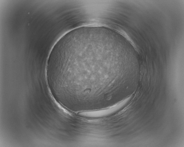 X0000072521484200608111707