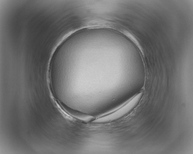 X0000072521485200608111707