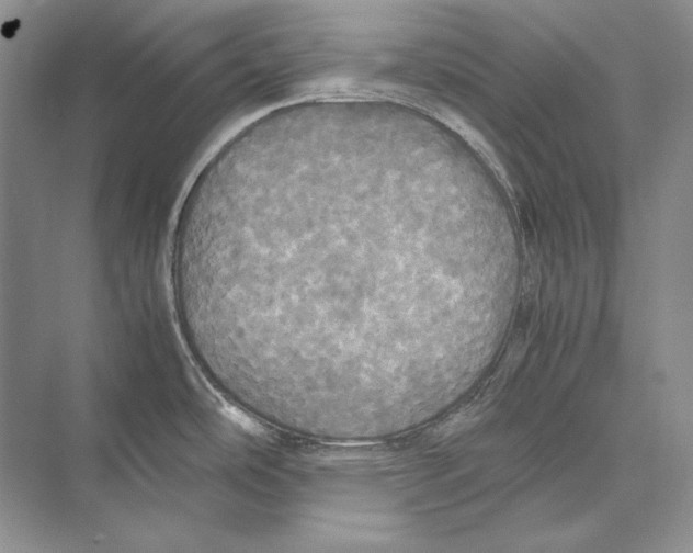 X0000072521486200608111707