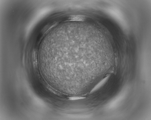 X0000072521487200608111707