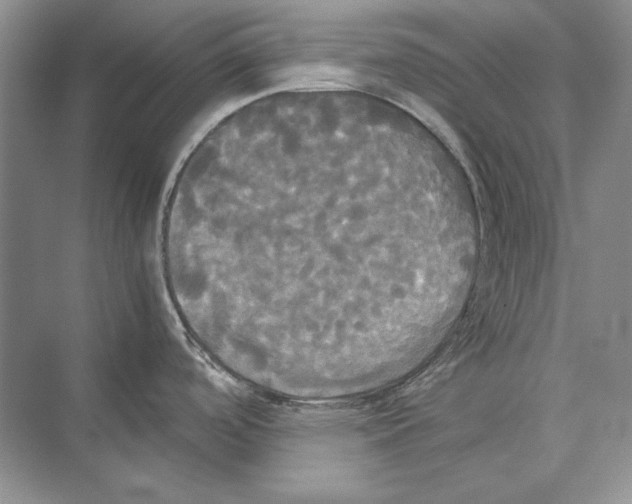 X0000072521488200608111707