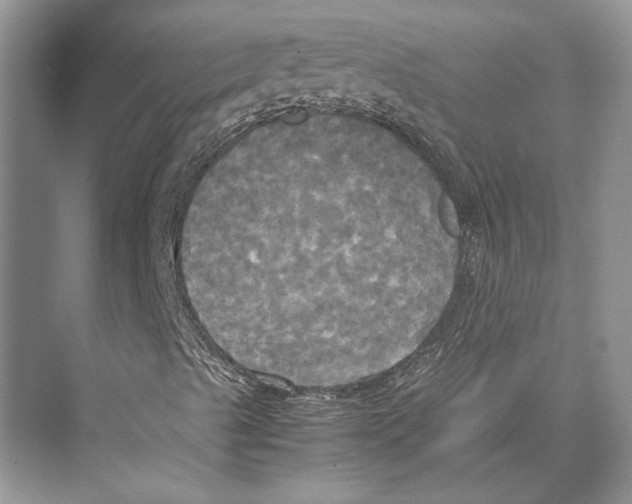 X0000072521489200608111706