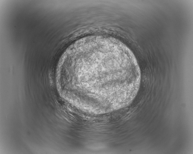 X0000072521490200608111706