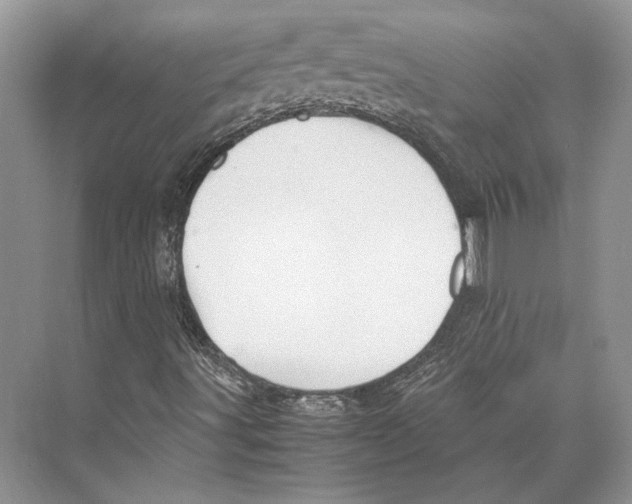 X0000072521491200608111706