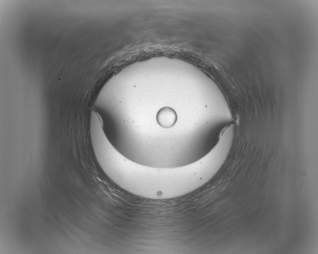 X0000072521492200608111706