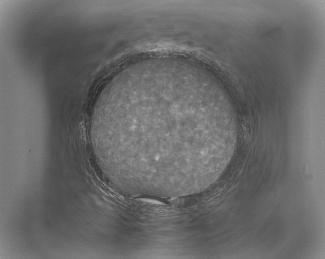 X0000072521493200608111706