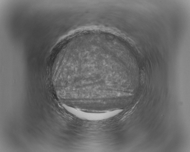 X0000072521494200608111706