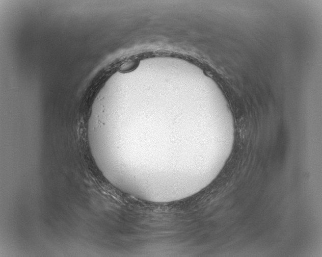 X0000072521495200608111706