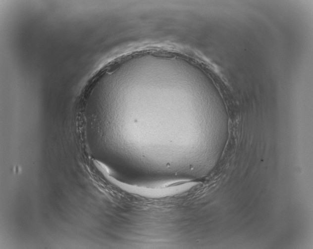 X0000072521496200608111706