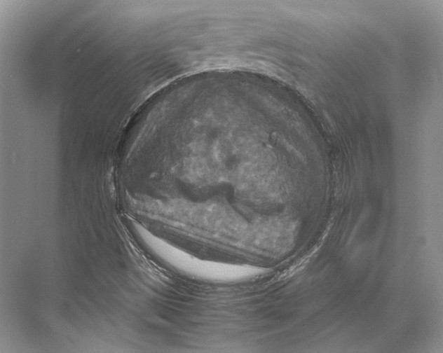 X0000072521497200608111706