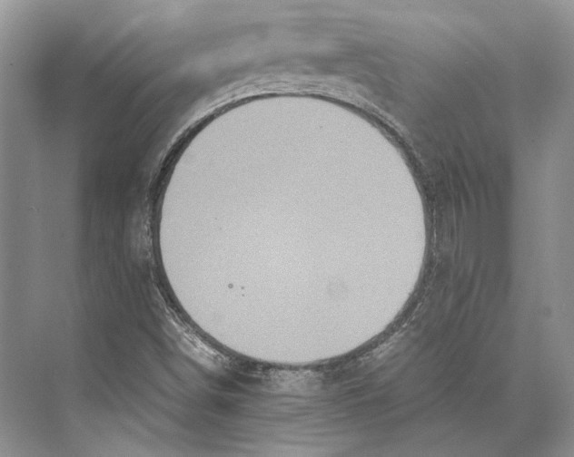 X0000072521498200608111706