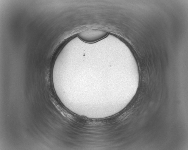 X0000072521499200608111706