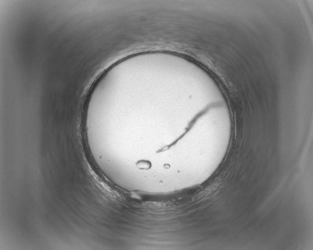 X0000072521500200608111706