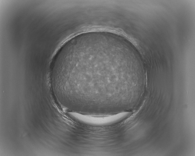 X0000072521501200608111706