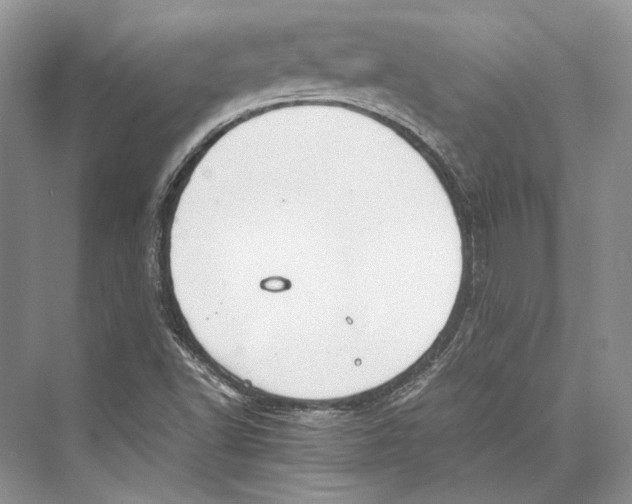 X0000072521502200608111706