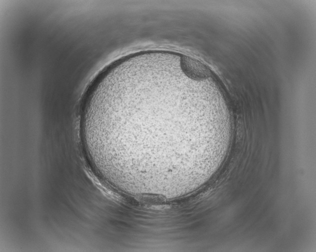 X0000072521503200608111706