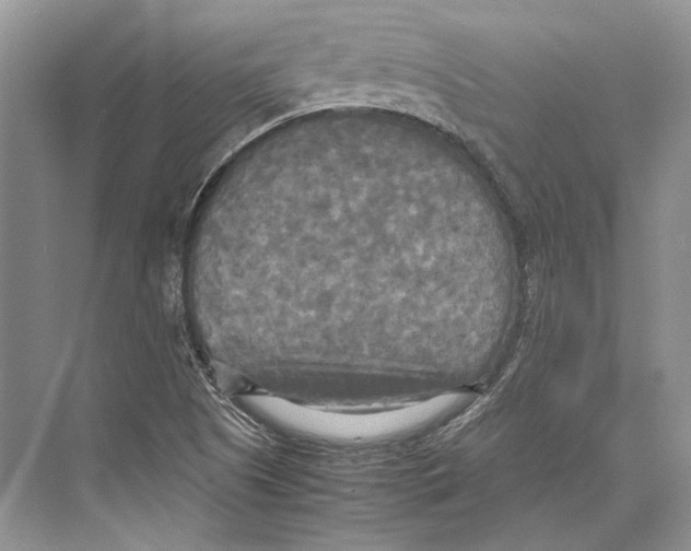 X0000072521505200608111706