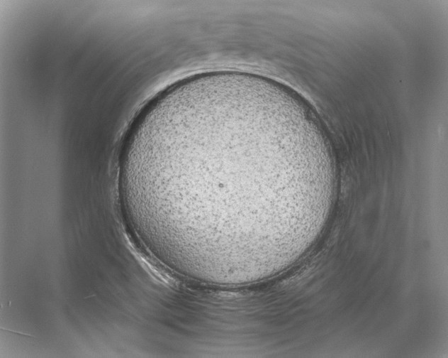 X0000072521507200608111706