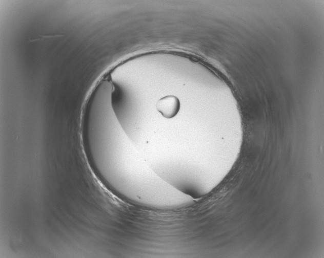 X0000072521508200608111706