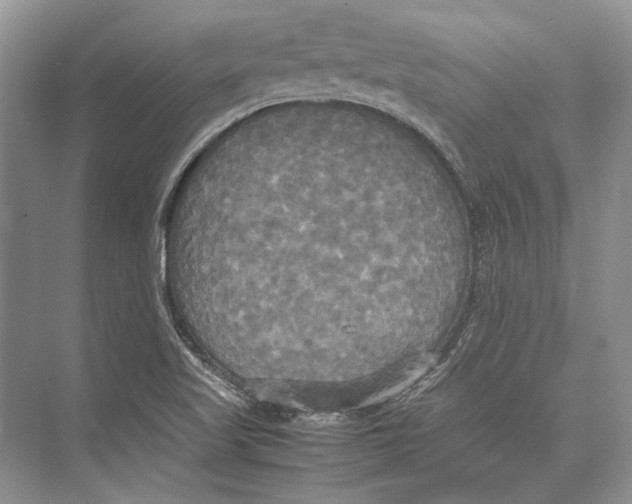 X0000072521509200608111706