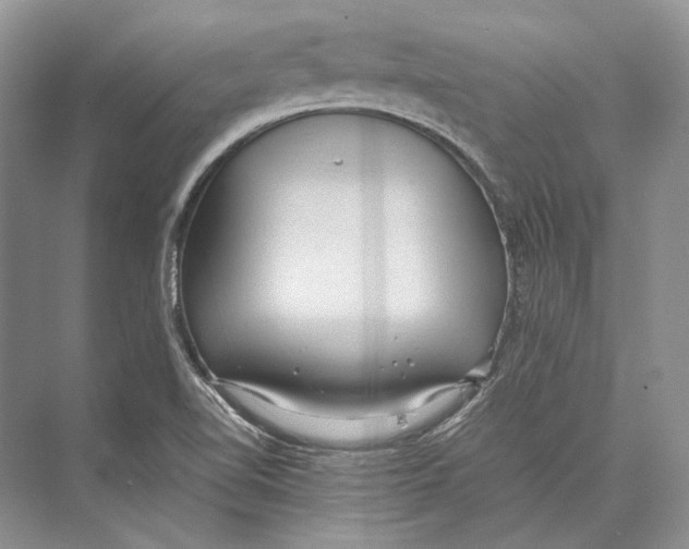 X0000072521510200608111706