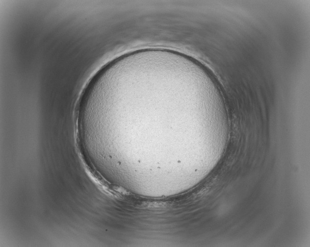 X0000072521511200608111706