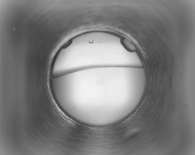 X0000072521512200608111707