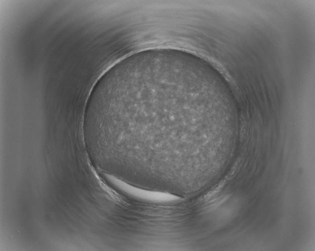 X0000072521513200608111707