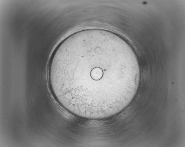 X0000072521514200608111707