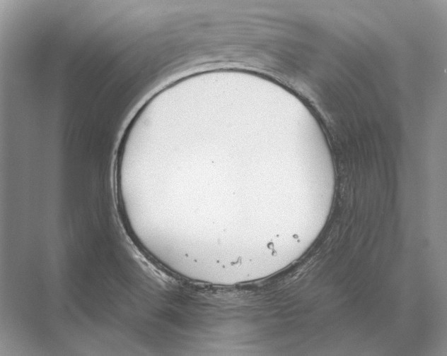 X0000072521516200608111707