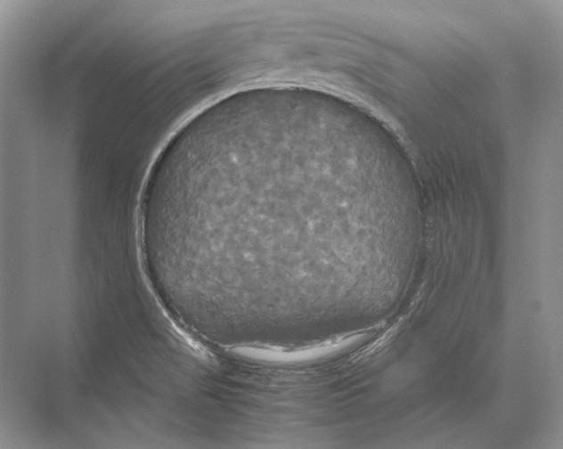 X0000072521517200608111707