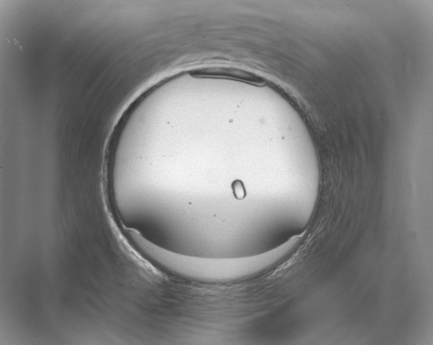 X0000072521518200608111707