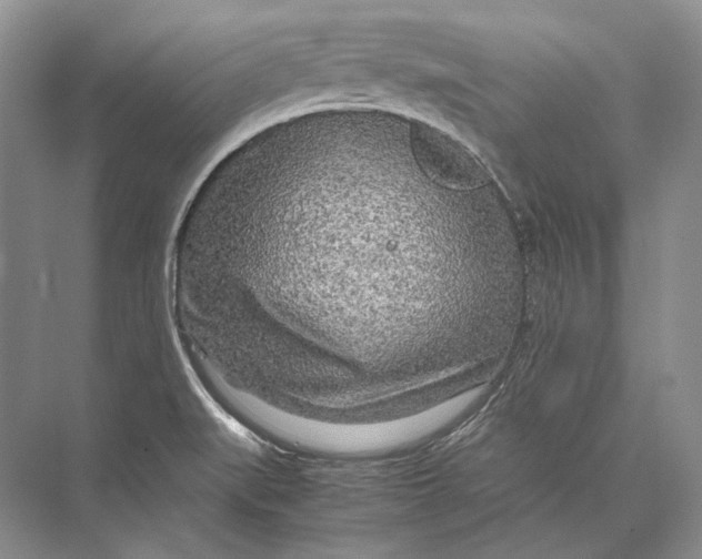 X0000072521519200608111707