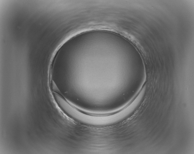 X0000072521520200608111707