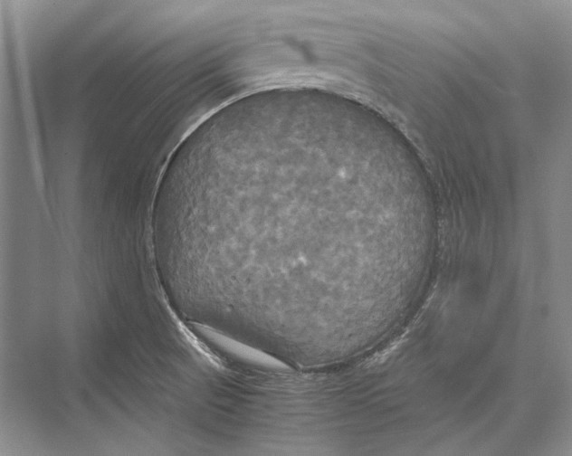 X0000072521521200608111707