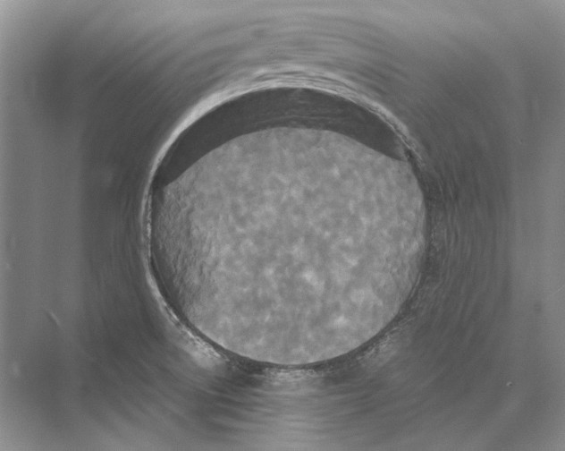 X0000072521522200608111707