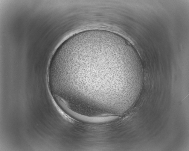 X0000072521523200608111707