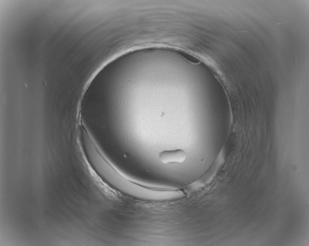 X0000072521524200608111707