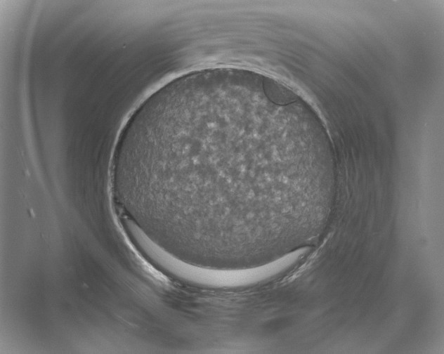 X0000072521525200608111707