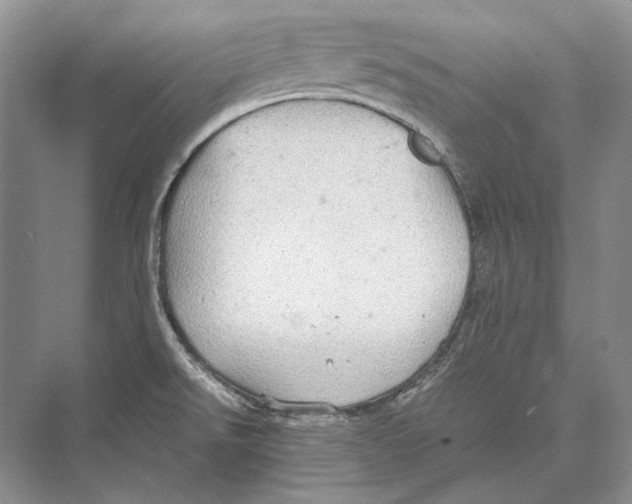 X0000072521526200608111707