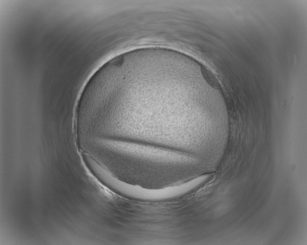 X0000072521527200608111707