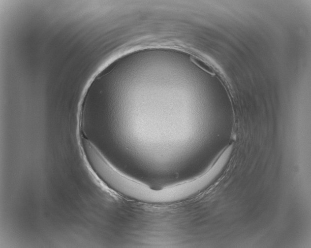 X0000072521528200608111707