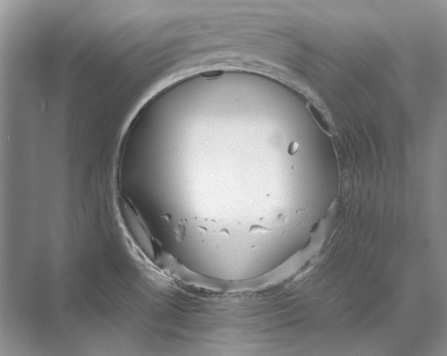 X0000072521530200608111707