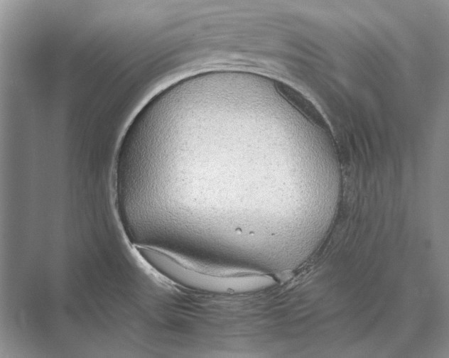 X0000072521531200608111707